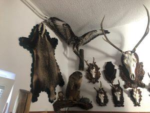 Uspešno zaključeni današnji dogodki  v sklopu straške jeseni 1